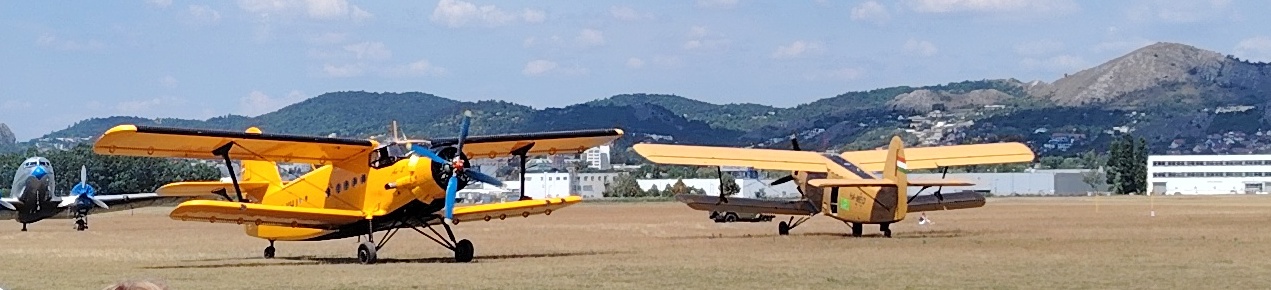 Ancsak