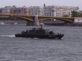AM-31