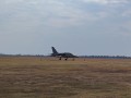 Albatrosz