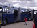 Ikarus dupla