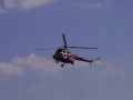 HA-BCL-5