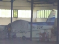 HA-SGR