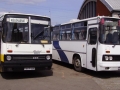 Ikarus-256