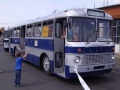 Ikarus-556