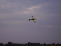 Su-29 modell