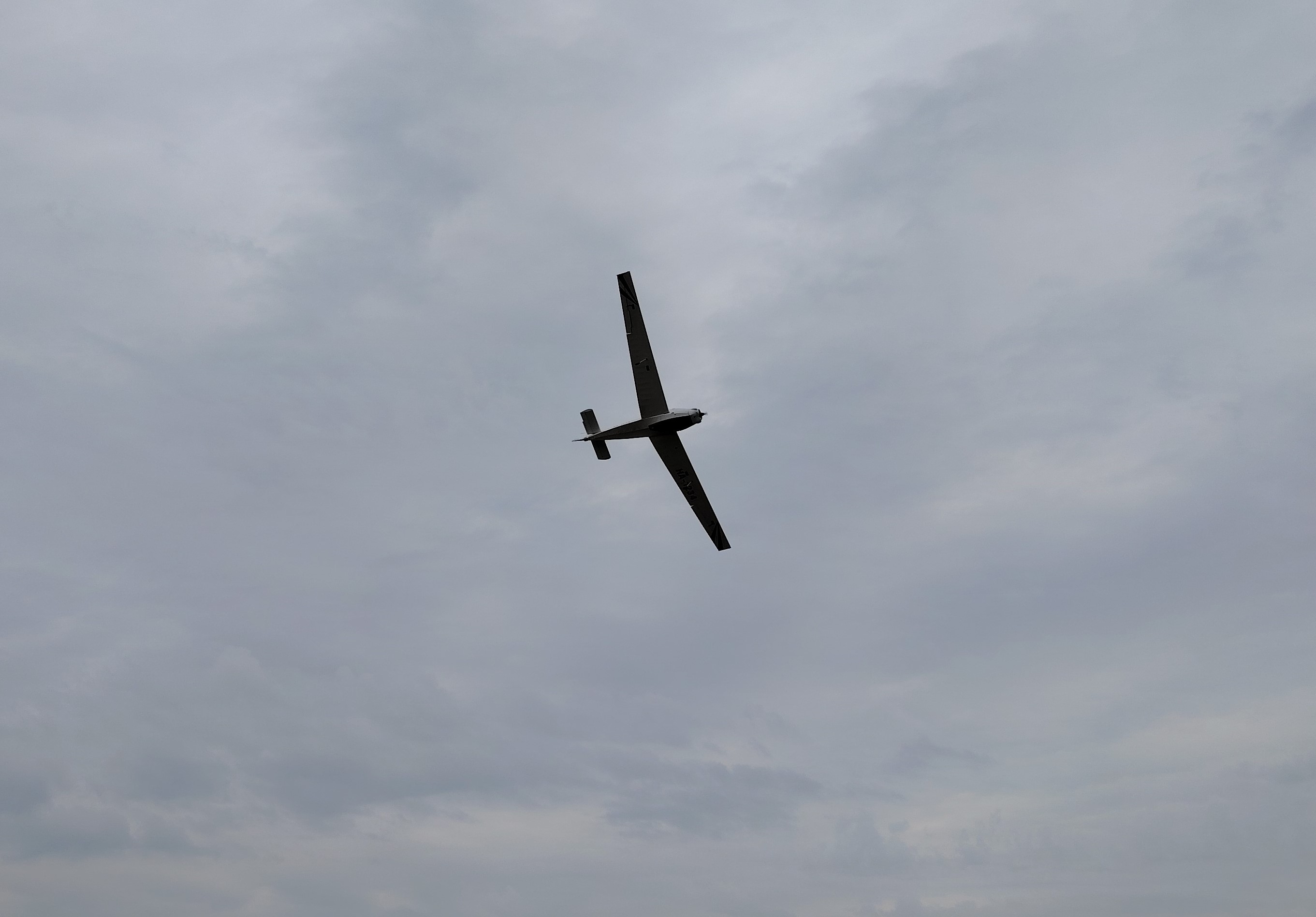 Falke-bemutato-1
