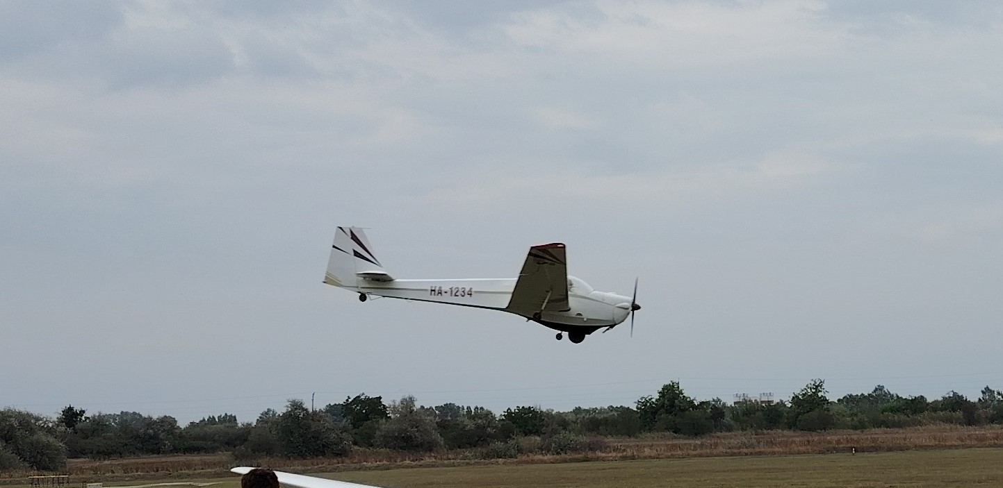 Falke-bemutato-2